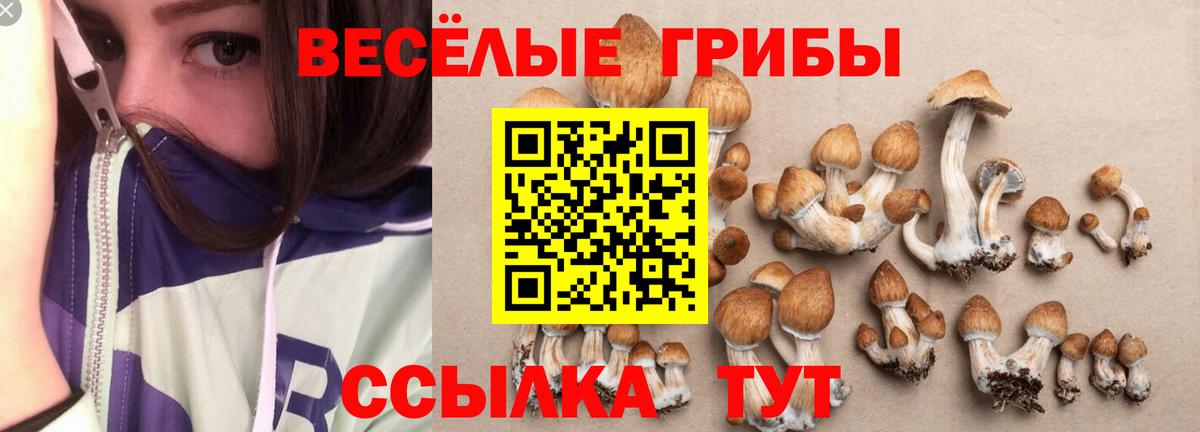 Соликамск  Галлюциногенные грибы Psilocybe  Вход с VPN  Псилоцибиновые грибы GOLDEN TEACHER 